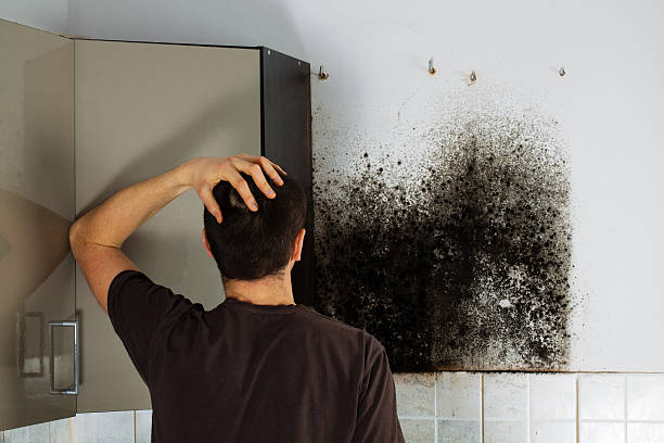 Best Mold Remediation for Specific Building Types in Delta Junction, AK